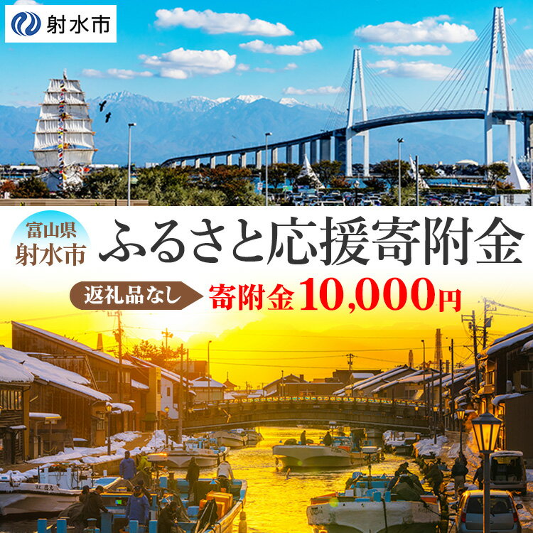 【ふるさと納税】富山県射水市　応援寄附（返礼品なし） 10,000円　 射水市 　お届け：お礼の品のご送付はございません。