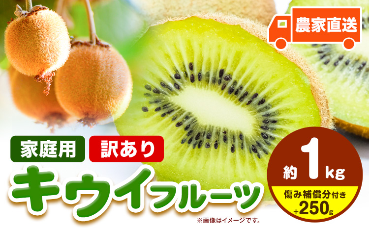 先行予約 ご家庭用 キウイ フルーツ 約1kg ＋250g (傷み補償分) 池田鹿蔵農園@日高町（池田農園株式会社）《11月中旬～2027年4月下旬出荷》【配送不可地域あり】和歌山県 日高町 わけあり
