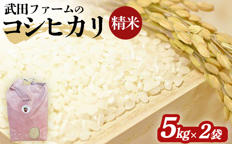 【令和6年産】武田ファーム コシヒカリ　精米5kg×2袋【1600401】