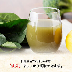 伊藤園 充実野菜 緑の野菜ミックス （紙パック） 200ml×48本 【伊藤園 飲料類 野菜ジュース 野菜 ジュース ミックスジュース 飲みもの】