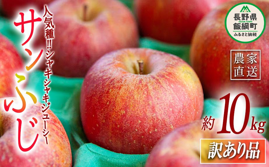 りんご サンふじ 訳あり 10kg ヤマハチ農園 2026年11月中旬頃から2027年1月上旬頃まで順次発送予定 令和8年度収穫分 BLOF理論栽培 傷 不揃い リンゴ 林檎 果物 フルーツ 信州 長