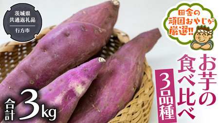 お芋 の 食べ比べ 3品種（3kg）【2026年10月から発送開始】 （茨城県共通返礼品 [さつまいも]：行方市産） 芋 野菜