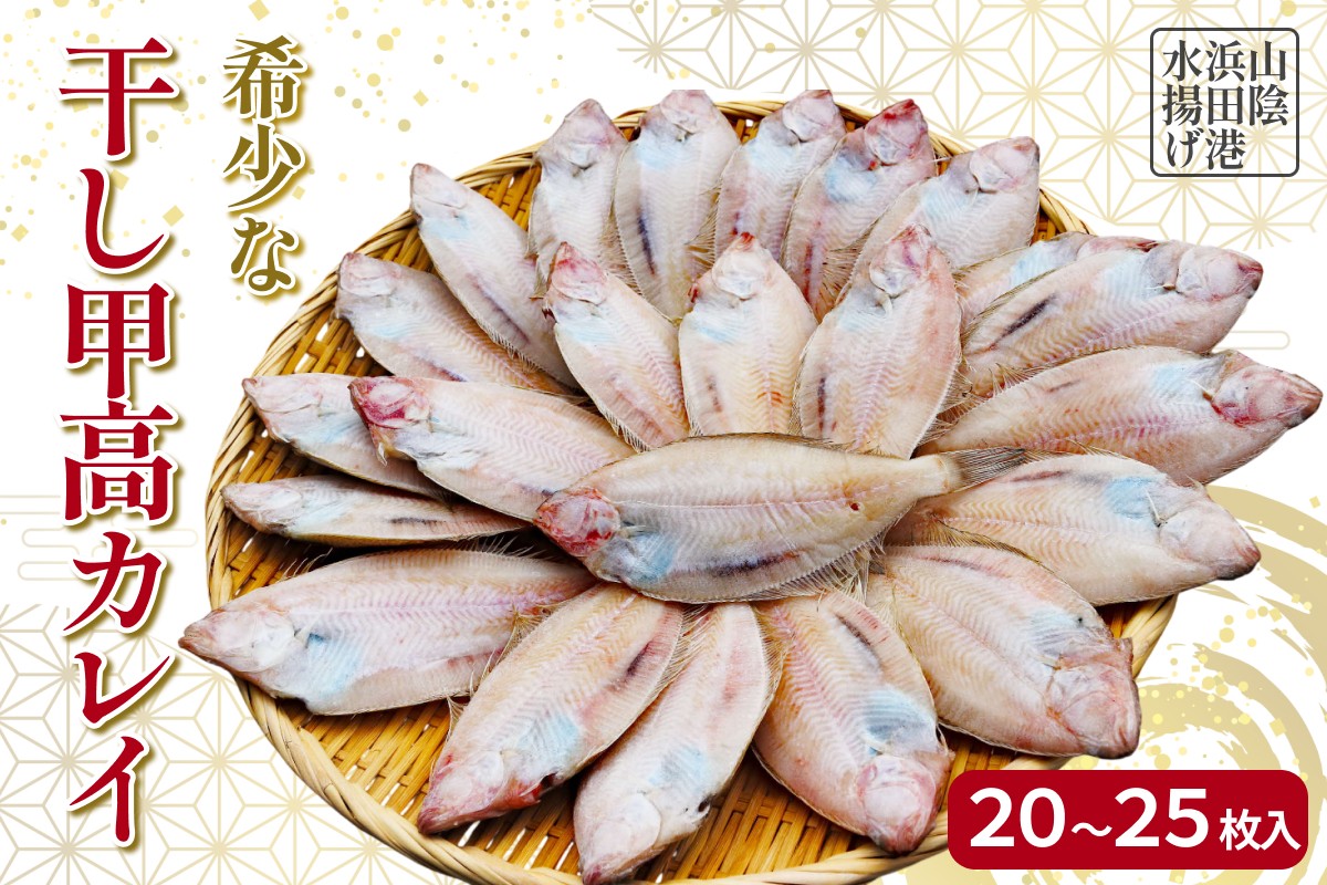 
                  【先行予約】山陰浜田港水揚げ　希少な干し甲高カレイ（卵入り） カレイ 干物 一夜干し 希少 浜田産 【019_1956】
                