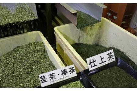 掛川 くき茶 100ｇ × 10袋 ・ 計1㎏ （ 深蒸し掛川茶 ） 山英 深蒸し茶 6319