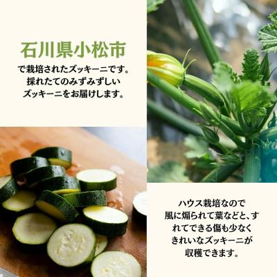 ふるさと納税 小松市 ズッキーニ 約2kg (10本前後) ずっきーに 小松市産 |  | 01