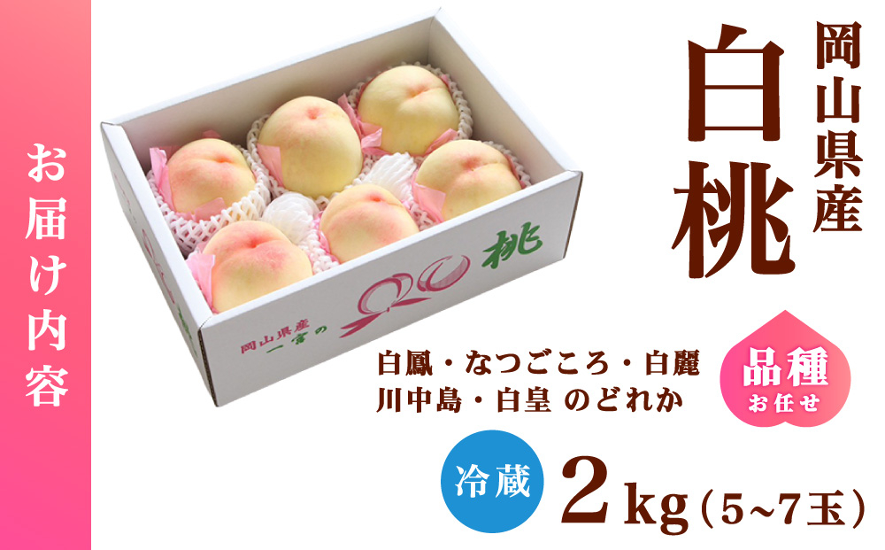 【家庭用】岡山県産 旬の桃 白桃 品種おまかせ 2kg 2kg