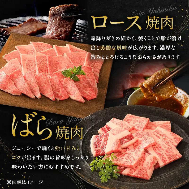 神戸牛 贅沢セットC 850g 神戸ビーフ 神戸牛