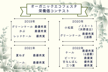 信州北八ヶ岳からお届け～ちいさな畑セット～（Lサイズ　３～４人前）有機野菜〔NK-02〕