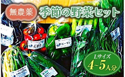 【栽培期間中農薬不使用・無化学肥料・無家畜性肥料で育てた】 季節の 野菜セット ( Lサイズ )【2026年7月下旬～発送】| 旬 野菜 10種類前後 4～5人分 セット シードマイスター 農薬不使用 無化学肥料 無家畜性肥料 信州 八ヶ岳 長野県 諏訪郡 原村