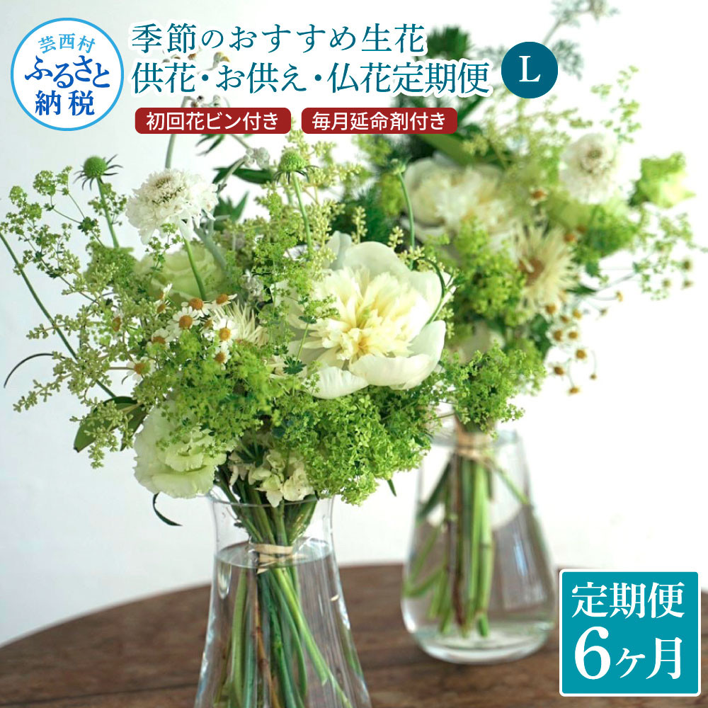 
《6ヵ月定期便》花束一対 お供え 初回花瓶付L 定期便 定期コース 全6回 初回花瓶付き 延命剤付き お供え 花束 一対 花びん 生花 仏花 供花 花束 はな 花 法要 お盆 季節のお花 供花 お供え
