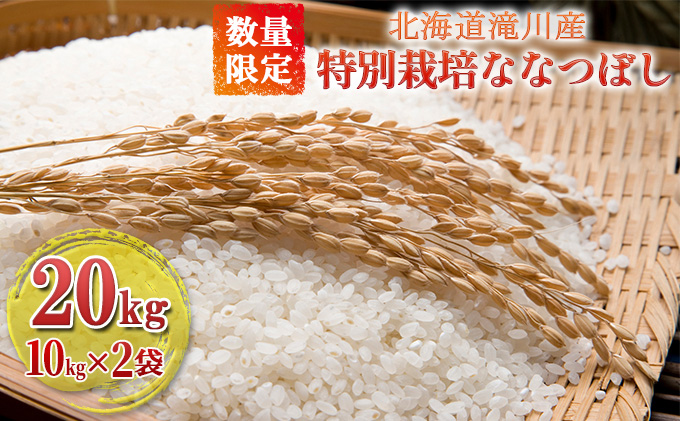 【入金確認後、最短7日発送】令和6年産米 北海道滝川産 特別栽培ななつぼし 20kg(10kg×2袋) ※10月中旬・新米からお届け｜北海道 滝川市 米 お米 白米 ご飯 ナナツボシ ななつぼし 新米
