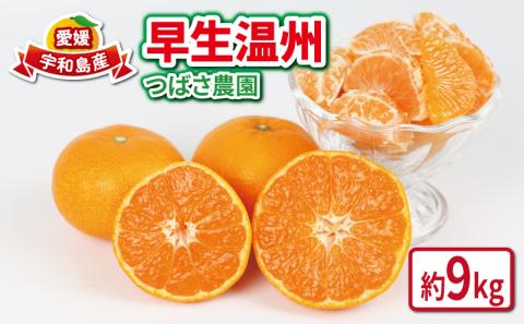 愛媛みかん 早生温州 家庭用 9kg つばさ農園 B010-048005