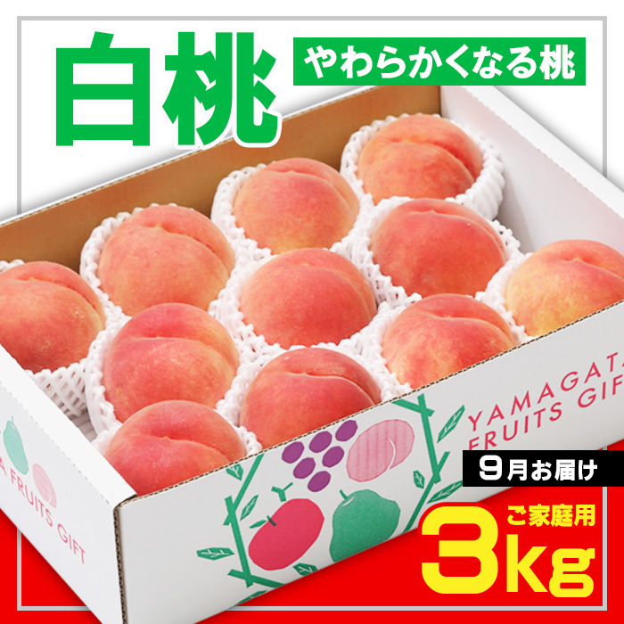 ☆フルーツ王国山形☆[ご家庭用] 白桃 〇秀品 3kg [やわらかくなる桃] 9月お届け【令和8年産先行予約】FS23-827