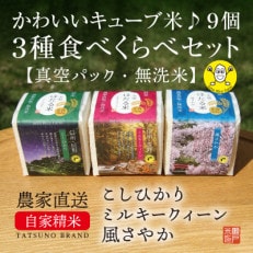 味見が出来るキューブ米　 3種食べ比べセット(全9個) 2合パックで計量不要の無洗米