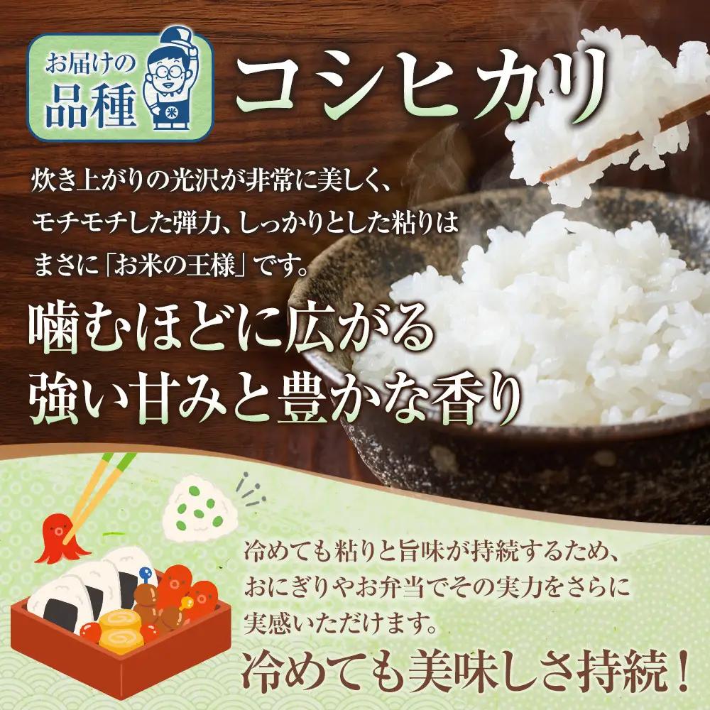 鳥取のお米 コシヒカリ 5kg 精米 コシヒカリ