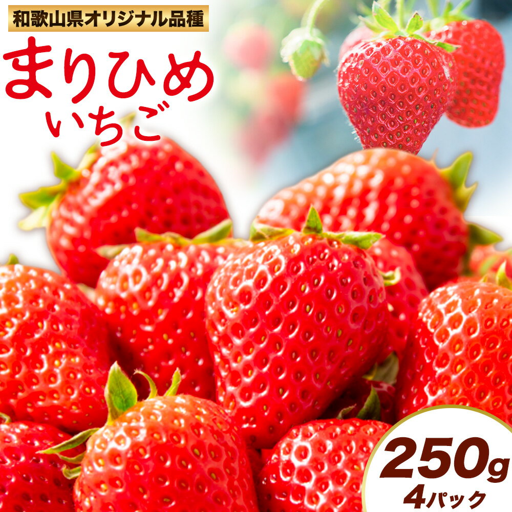 【ふると納税】紀州和歌山県ブランドいちご「まりひめ」約250g×4パック 計1kg 株式会社魚鶴商店《2026年3月上旬-3月下旬頃出荷》和歌山県 日高町 いちご 苺 まりひめ フルーツ 果物 スイーツ 送料無料
