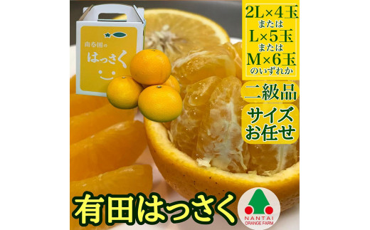 
ちょっと 傷あり 手さげ箱 有田 はっさく 2L ~ M 4~6玉入 南泰園
