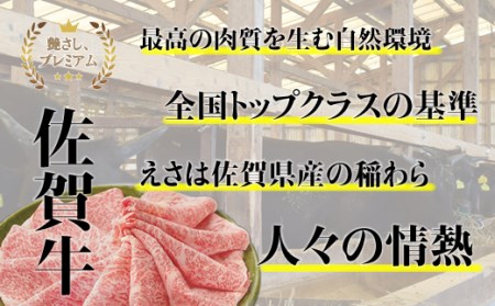 佐賀牛ローストビーフ420g(2個入)  B175-006