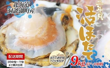 【 ふるなび限定 】 北海道産 活ほたて 2年貝 約 9kg 67枚～100枚 2025年3月中旬～3月下旬頃お届け 殻付き 貝付き 帆立 ホタテ ほたて 貝 魚介 海産 海鮮 噴火湾 刺身 焼き フライ FN-Limited