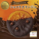 【ふるさと納税】無地熨斗 ショコラオランジュ 計5枚 チョコレート ビターチョコ ショコラ オレンジ オランジュ コーティング 洋菓子 お菓子 菓子 手土産 スイーツ 贈り物 ギフト 熨斗 のし 贈答用 新潟県 南魚沼市