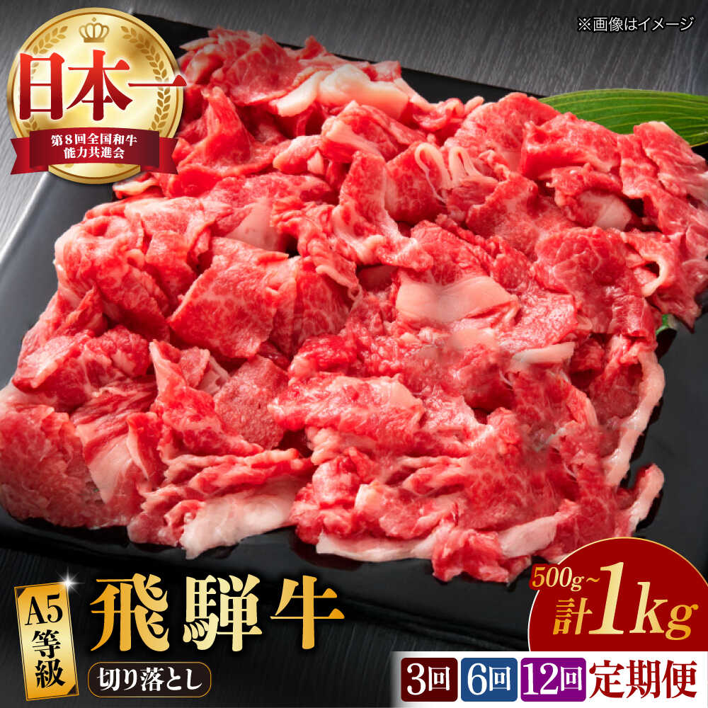 【ふるさと納税】【選べる容量・定期便回数】【飛騨牛】 切り落とし 500g～1kg 和牛 ブランド牛 国産 多治見市/肉の丸長 [TAZ012]