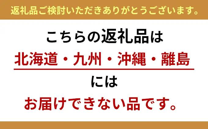 野菜 とれたて 季節の野菜 パック 8品 詰め合わせ 野菜