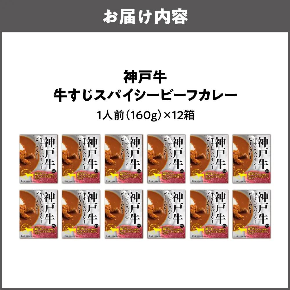 【 京阪百貨店厳選 】神戸牛すじスパイスカレー160ｇ×12食セット カレー_OS048-0068-03
