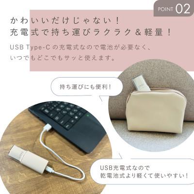 ふるさと納税 つくばみらい市 LINKA リンカ トリム (ポーチサイズ、USB充電、電動シェイバー) |  | 03