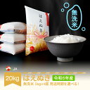 【ふるさと納税】 新米 米 20kg 5kg×4 はえぬき 無洗米 令和6年産 2024年産 山形県村山市産 送料無料※沖縄・離島への配送不可