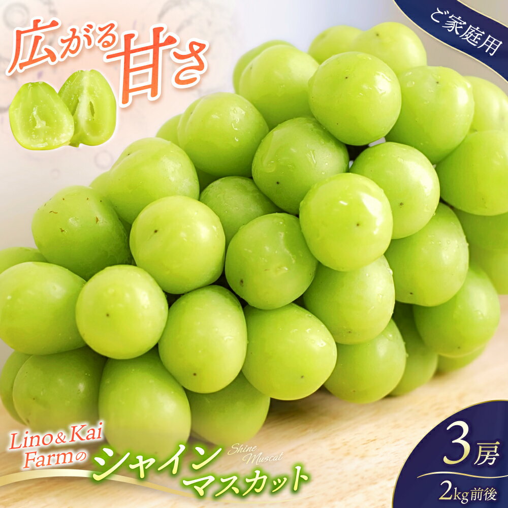 【ふるさと納税】 2026年先行予約 【ご家庭用】 シャインマスカット 2kg程度（3房前後） 化粧箱入 Lino＆Kai Farm 2026年10月上旬〜順次発送 ぶどう 岡山 真庭 マスカット 人気 産地直送 数量限定