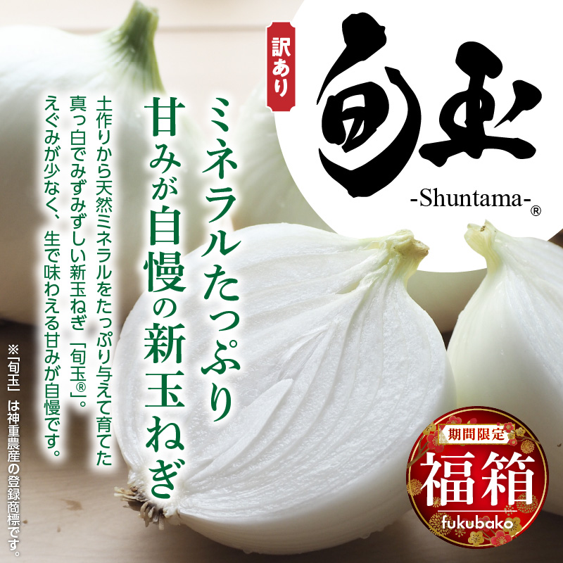 【福箱★2026】訳あり 新玉ねぎ 旬玉 8.5kg 生がおいしい神重農産のブランド玉ねぎ H105-169