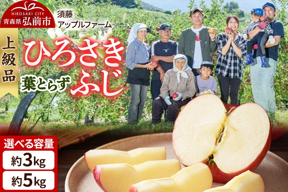 
                  りんご【26年10月発送】ひろさきふじ 葉とらず【上級品】【選べる約 3kg／5kg】贈答用 青森県 弘前市 果物 フルーツ 林檎 リンゴ くだもの ギフト 贈り物 [産地直送 アップル おいしい 果実 美味 甘い 赤色]
                