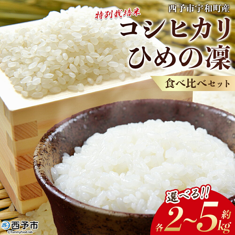 【ふるさと納税】新米＜令和7年産 西予市宇和町産 特別栽培米コシヒカリ・ひめの凜 食べ比べセット（各約2kg/5kg）＞ お米 コメ こめ 白米 精米 単一原料米 穀物 こしひかり ひめのりん 朝食 低農薬 特産品 三好フク 愛媛県【常温】『2025年11月中旬より順次出荷予定』