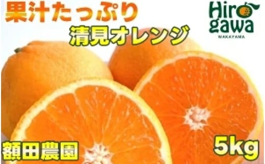 清見 オレンジ 5kg サイズ混合 光センサー / 清見オレンジ 清見タンゴール きよみ 清美 甘い 和歌山 柑橘※3月上旬～下旬に順次発送予定 ※北海道・沖縄・離島への配送不可 【nuk011-r-5A】