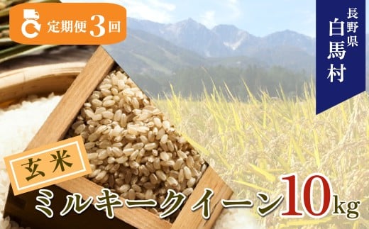 ＜3ヶ月連続お届け＞＜令和7年産・新米・先行予約＞白馬産ミルキークイーン【玄米】10kg 全3回/長野県白馬村  2025年産  定期便  米  玄米発送  お米  ご飯  ごはん  送料無料【B0030171】