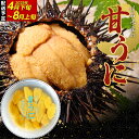 【ふるさと納税】＼選べる容量／甘うに 150g×1パック 2パック 3パック 5パック 【令和7年4月下旬～8月上旬配送予定】川石水産 キタムラサキウニ 生うに 生ウニ 生雲丹 海栗 ミョウバン不使用 無添加 三陸山田 容量が選べる UNI YD-702var