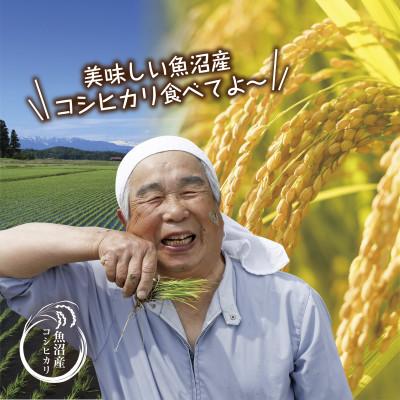 ふるさと納税 十日町市 【のし付き】無洗米 魚沼産 コシヒカリ 5kg  美味しい炊き方ガイド付 |  | 01