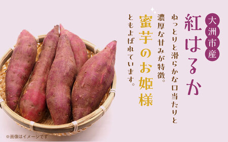 【冷凍】ねっとりあまからい！ 大洲産 干し芋（紅はるか）200g×5袋　＼レビューキャンペーン中／愛媛県大洲市/沢井青果有限会社 [AGBN024]干し芋さつまいも紅はるか干し芋さつまいも紅はるか干し