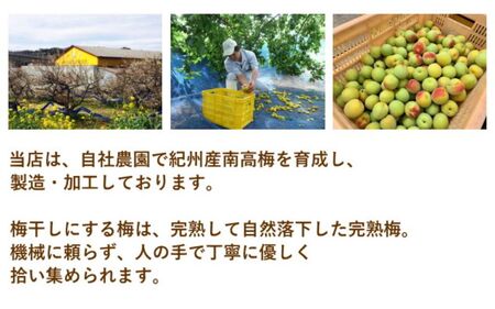 紀州南高梅 やわらか干し梅 はちみつ入り 260g / 和歌山 和歌山県産 田辺市 南高梅 干し梅 種なし はちみつ干し梅 柔らかい干し梅 個包装【nag003】