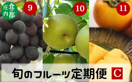 食の都庄内【令和7年産】《9・10・11月お届け-C》旬のフルーツの3ヶ月定期便