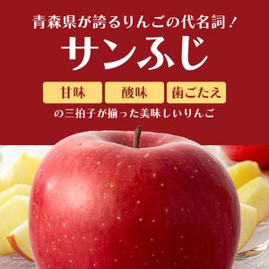 りんごサンふじ訳あり家庭用 青森県産 りんご【約5kg】【2月発送】