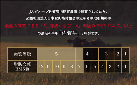 ＜定期便3回＞佐賀牛ハンバーグ 計2.7kg (150g×6個×3回)