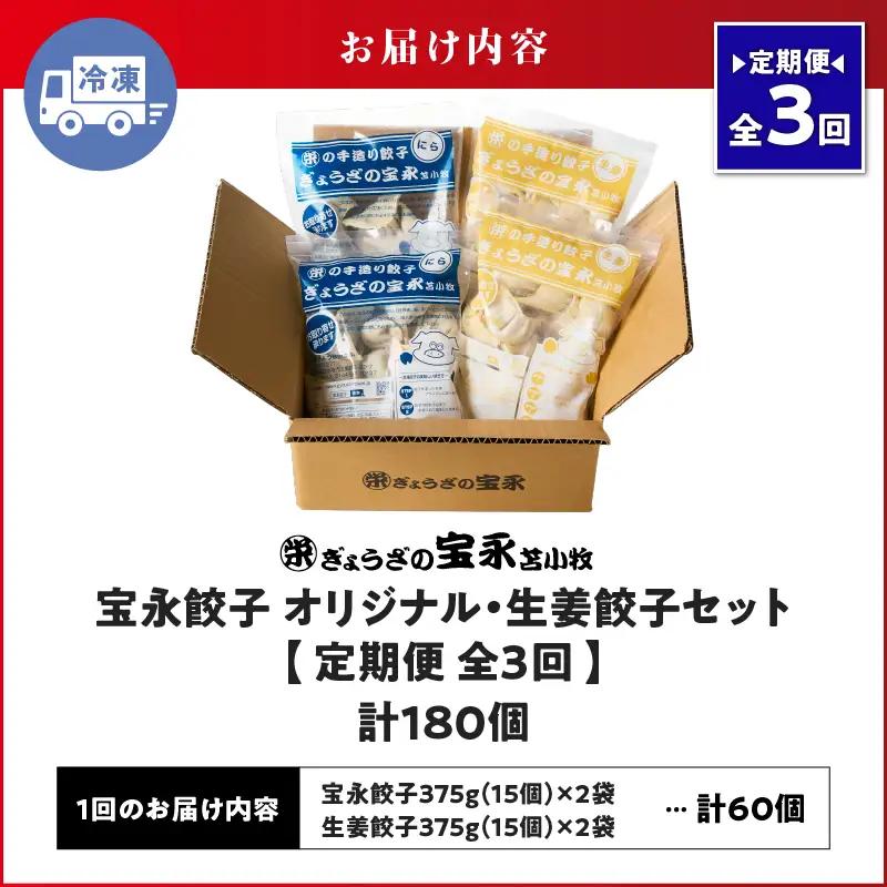 【定期便・全3回 毎月】手包み餃子 ぎょうざの宝永 生姜餃子60個セット（宝永餃子15個入×2袋・生姜餃子15個入×2袋） T004-T05-02-02 定期便 定期 惣菜 総菜 餃子