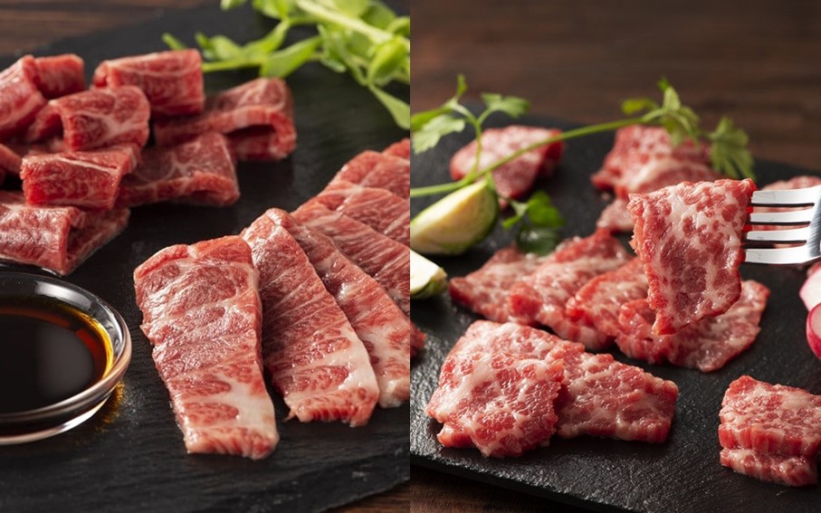 【ふじ馬刺し】 霜降り馬刺しと赤身の贅沢6種セット 450g ふじ馬刺し メン 大トロ 中トロ ヒレ シャトーブリアン ロース ユッケ 霜降り 熊本 馬刺し セット 詰め合わせ 食べ比べ 馬肉 馬 生食用 肉刺し フジチク ギフト 贈答用 阿蘇 南小国町 送料無料