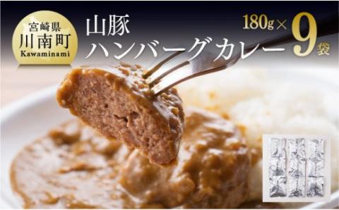 きじょん山豚 ハンバーグカレー 9食分(180g×9袋)　豚肉[G7506]