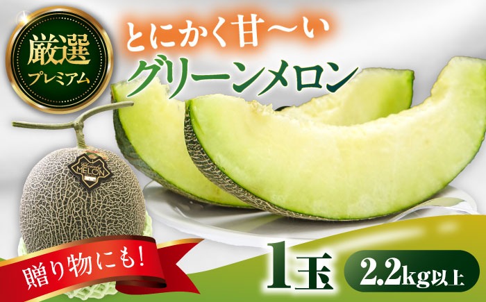 【2026年7月上旬〜発送】【平成新山メロンPREMIUM（とみちゃん厳選）】グリーンメロン 1玉 / メロン めろん 果物 フルーツ / 南島原市 / うえだメロン園 [SAD006] 