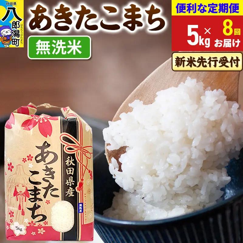 《新米》《定期便8ヶ月》あきたこまち 一等米 5kg【無洗米】 令和8年産 秋田県産 こまちライン