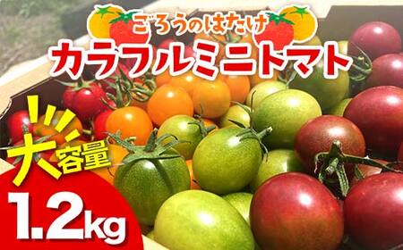 大容量 ごろうのはたけ カラフルミニトマト 1.2kg 高糖度 濃厚 トマト サラダ 山陽小野田 F6L-1319