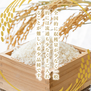 【6ヶ月定期便】大子産米 ゆうだい21（精米）2kg×6回|茨城県 大子町 白米 令和7年産 食味値 コンテスト （AV026）