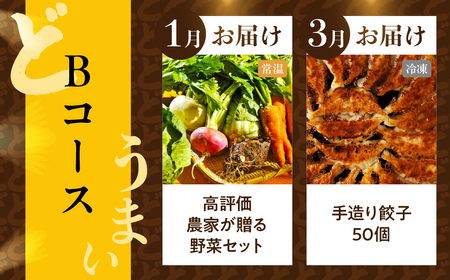 渥美半島の恵み どうまい 定期便 全5回 Bコース （ 野菜 セット 餃子 とうもろこし みかん 豚肉 ) 青うなぎ 名古屋コーチン マスクメロン ご当地 人気 頒布会